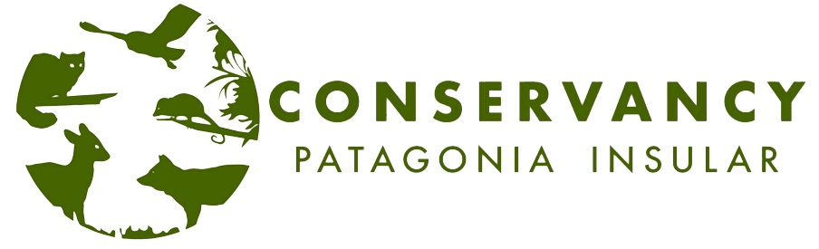 Patagonia Insular