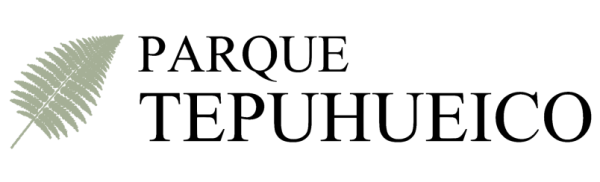 parque-tepuhueico-pop-up