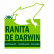 ranita-darwin